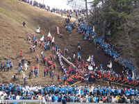 巨木が坂を下る、御柱の「木落し」