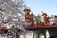 中橋を山車が進む「春の高山祭」